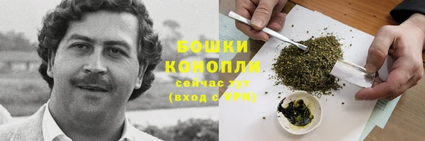 jwh Ельня