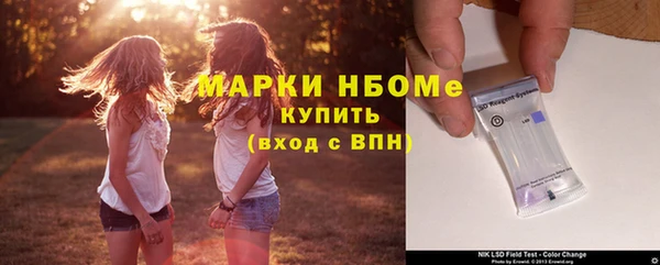 МДПВ Елабуга