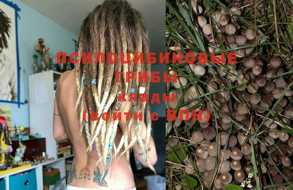 МДПВ Елабуга