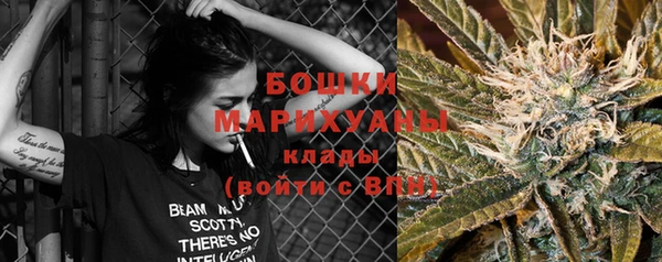 PSILOCYBIN Елизово
