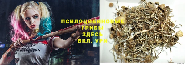 МДПВ Елабуга