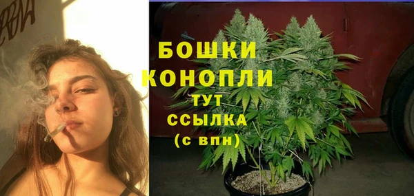 МДПВ Елабуга