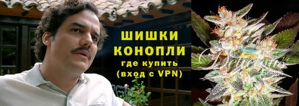 PSILOCYBIN Елизово
