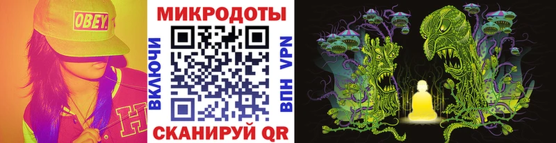 Купить где  Пустошка  Галлюциногенные грибы GOLDEN TEACHER 